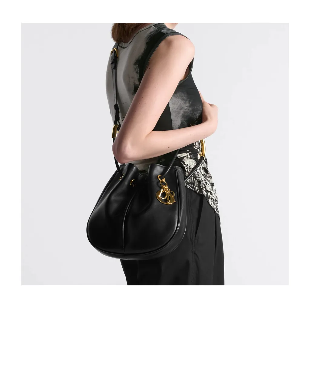 Medium Dior Nolita Bag