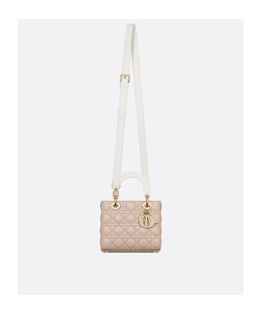 Small Lady Dior Bag
