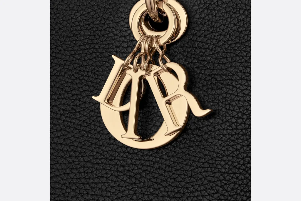 Medium Lady D-Sire My Abcdior Bag