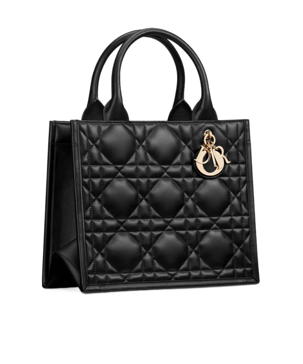 Small Dior Book Tote