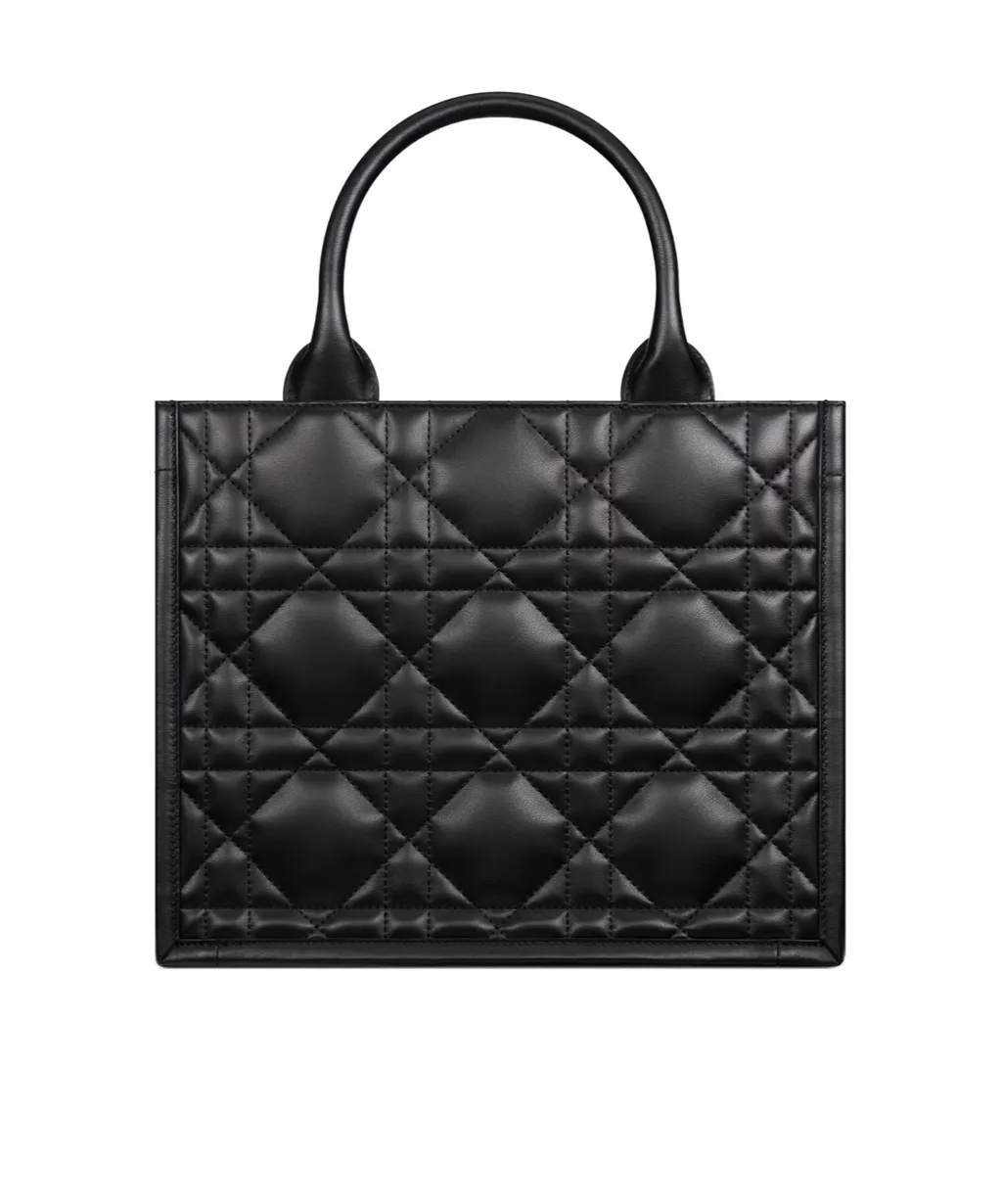 Small Dior Book Tote