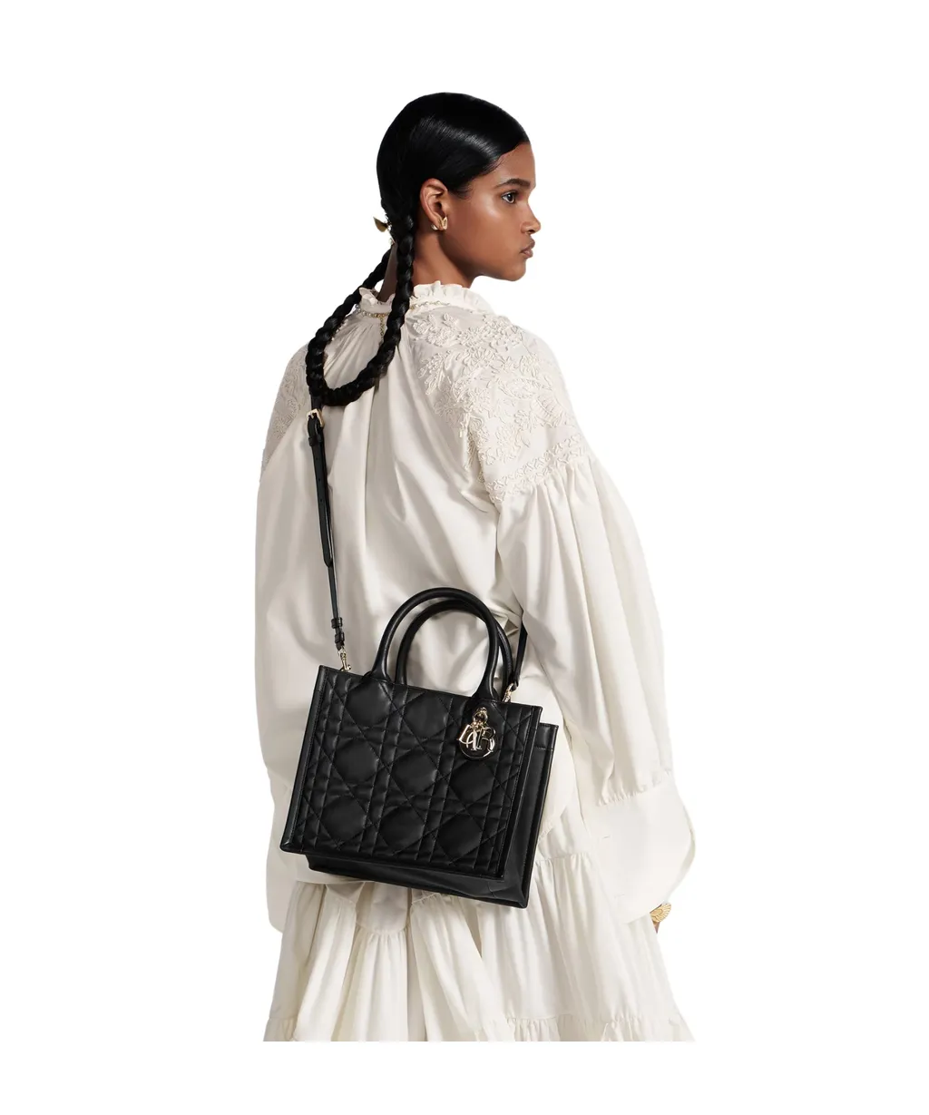 Small Dior Book Tote