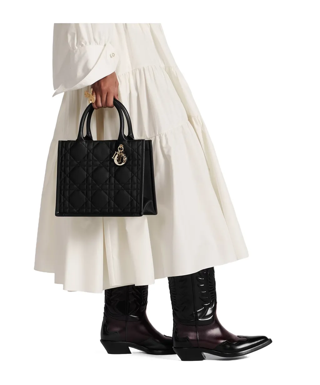 Small Dior Book Tote