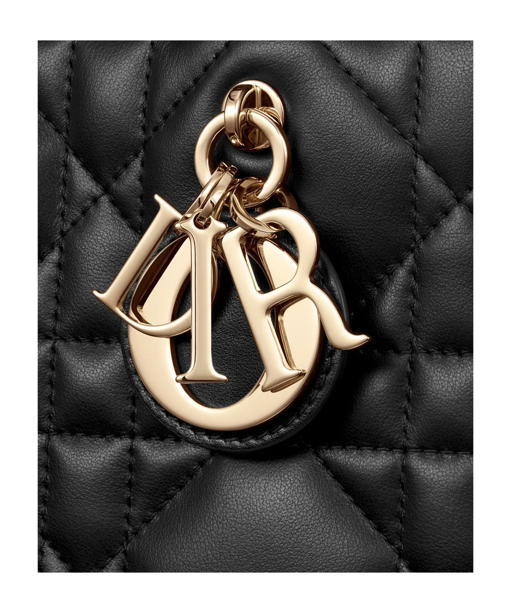 Small Dior Book Tote
