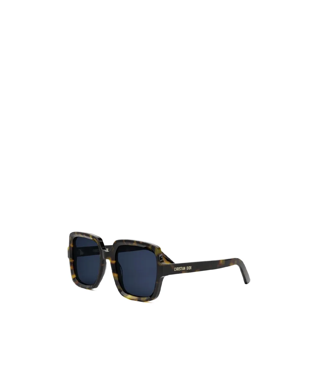 Diormidnight S4I Oversized Frame Sunglasses