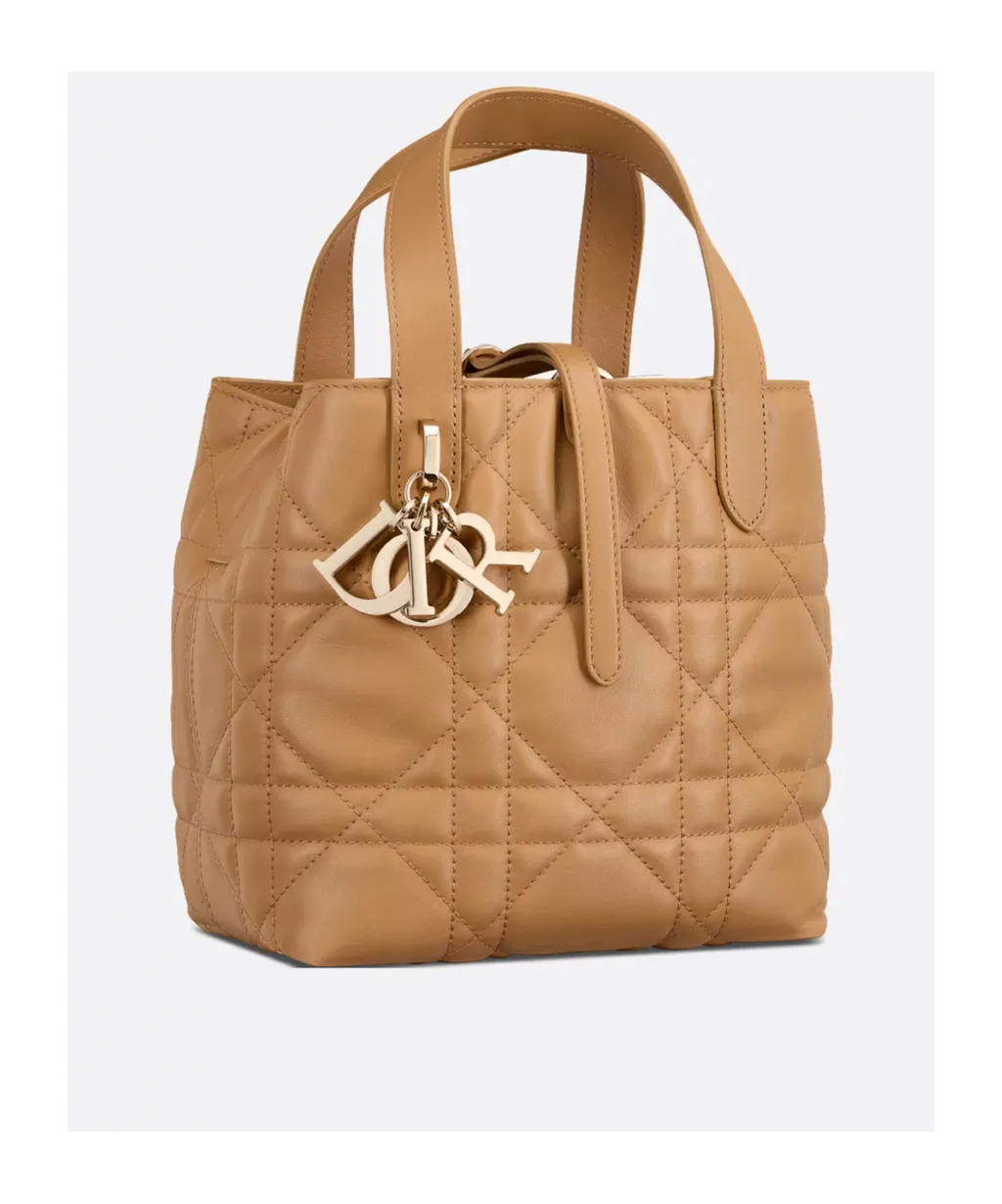 Dior Toujours Vertical Tote Bag