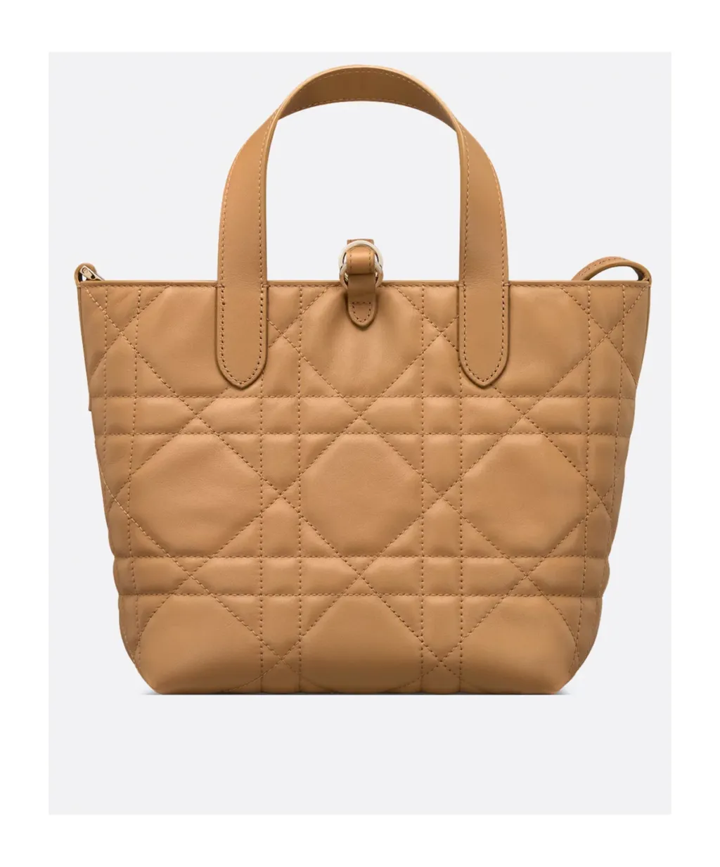 Dior Toujours Vertical Tote Bag