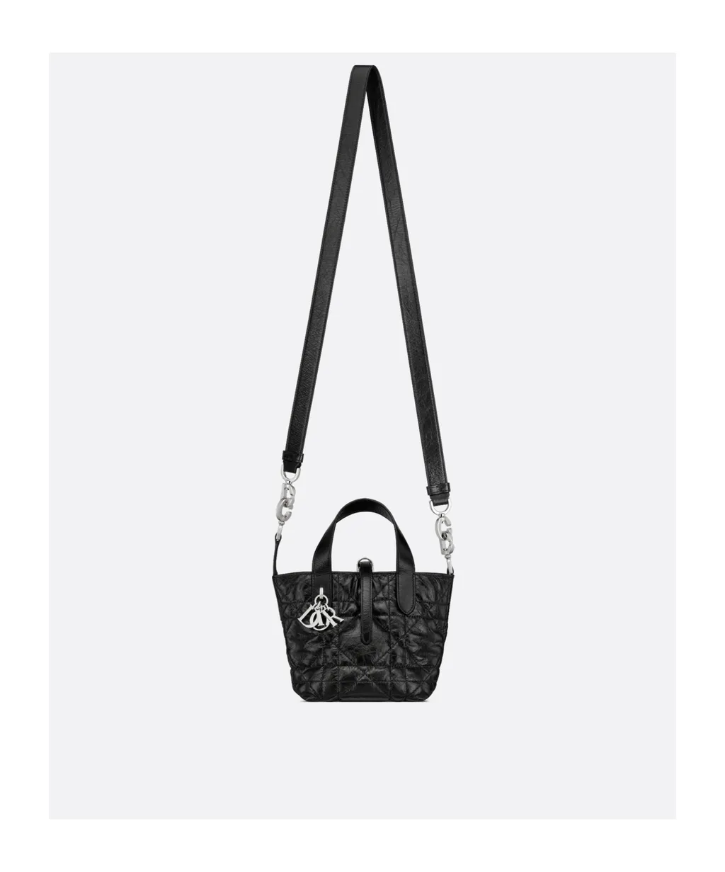 Toujours Vertical Nano Tote Bag