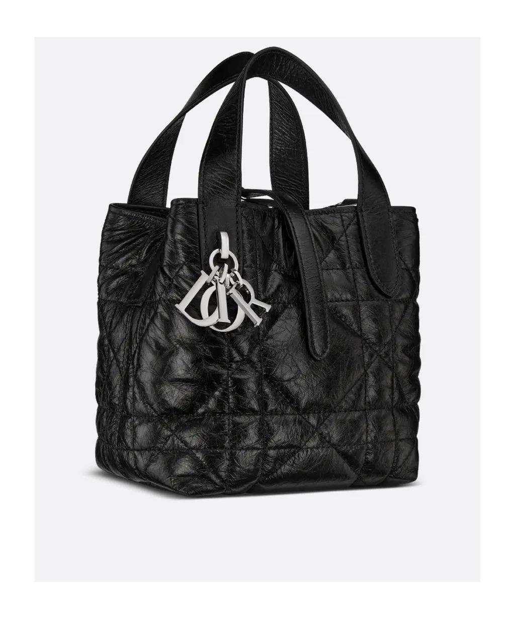 Toujours Vertical Nano Tote Bag
