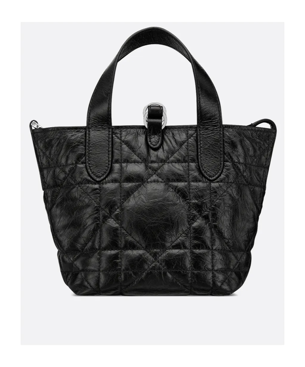 Toujours Vertical Nano Tote Bag