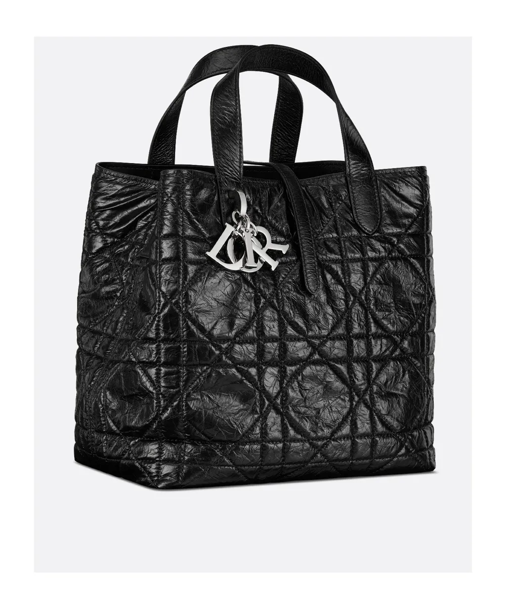 Medium Dior Toujours Vertical Tote Bag