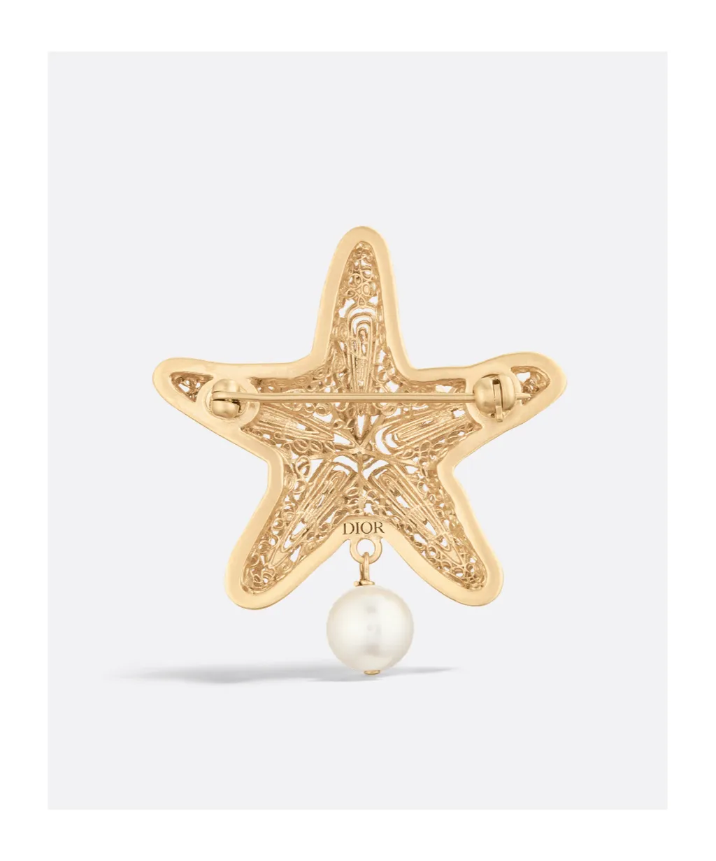 Cabinet De CuriositÉS Brooch