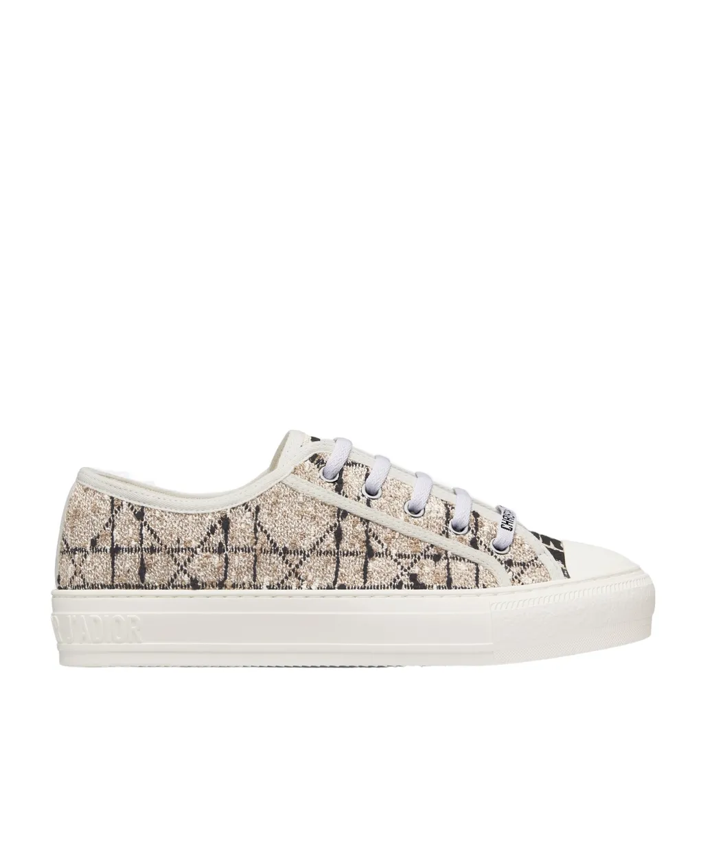 Walkdior Sneaker N