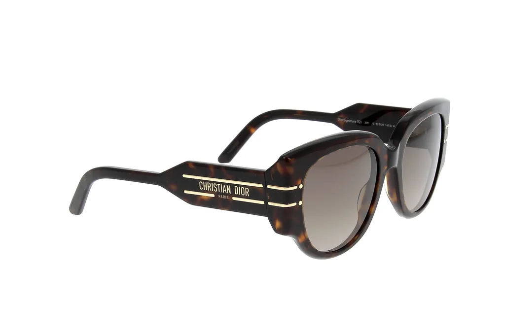 Diorsignature R2I Round Frame Sunglasses