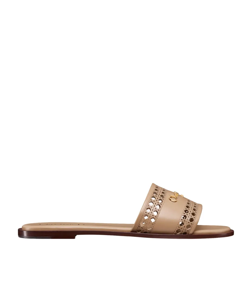 D-Lane Slide
