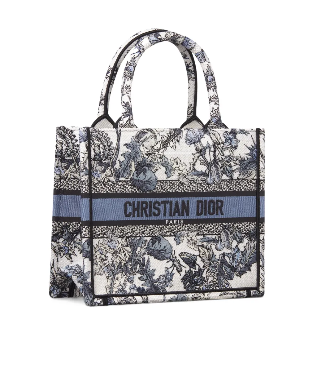Small Dior Book Tote