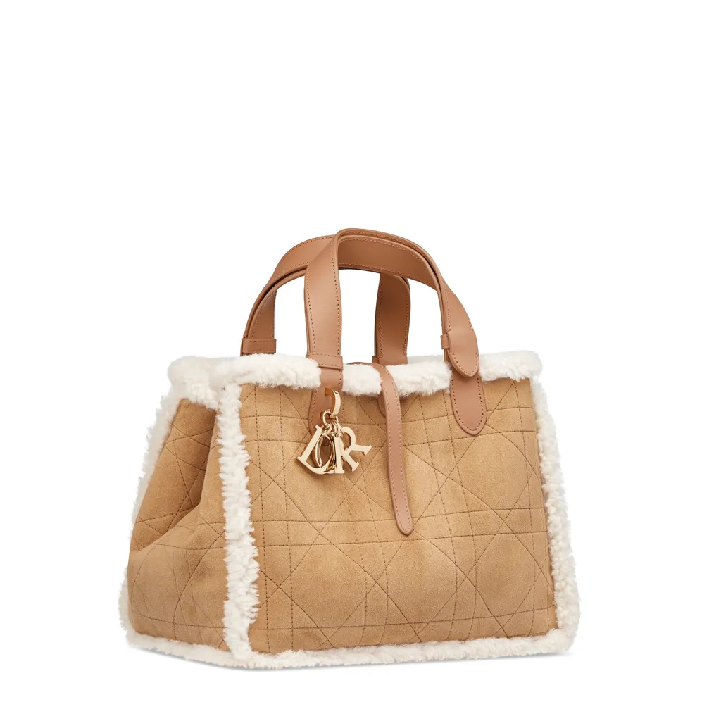 Medium Toujours Bag