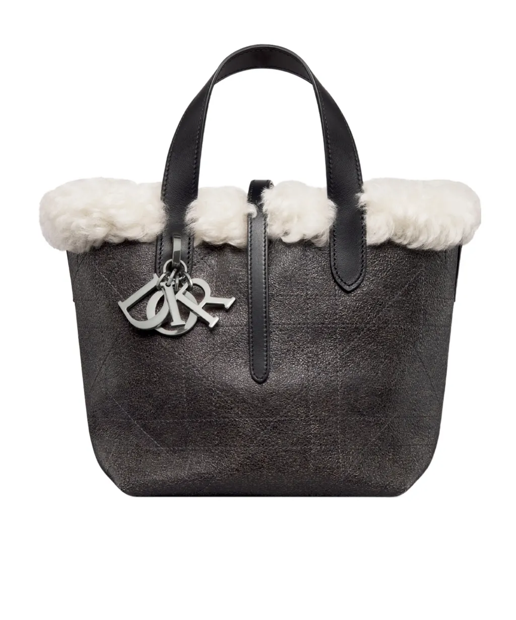 Alps Small Dior Toujours Vertical Bag