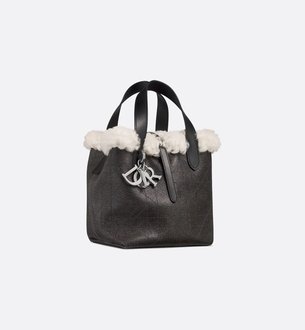 Alps Small Dior Toujours Vertical Bag