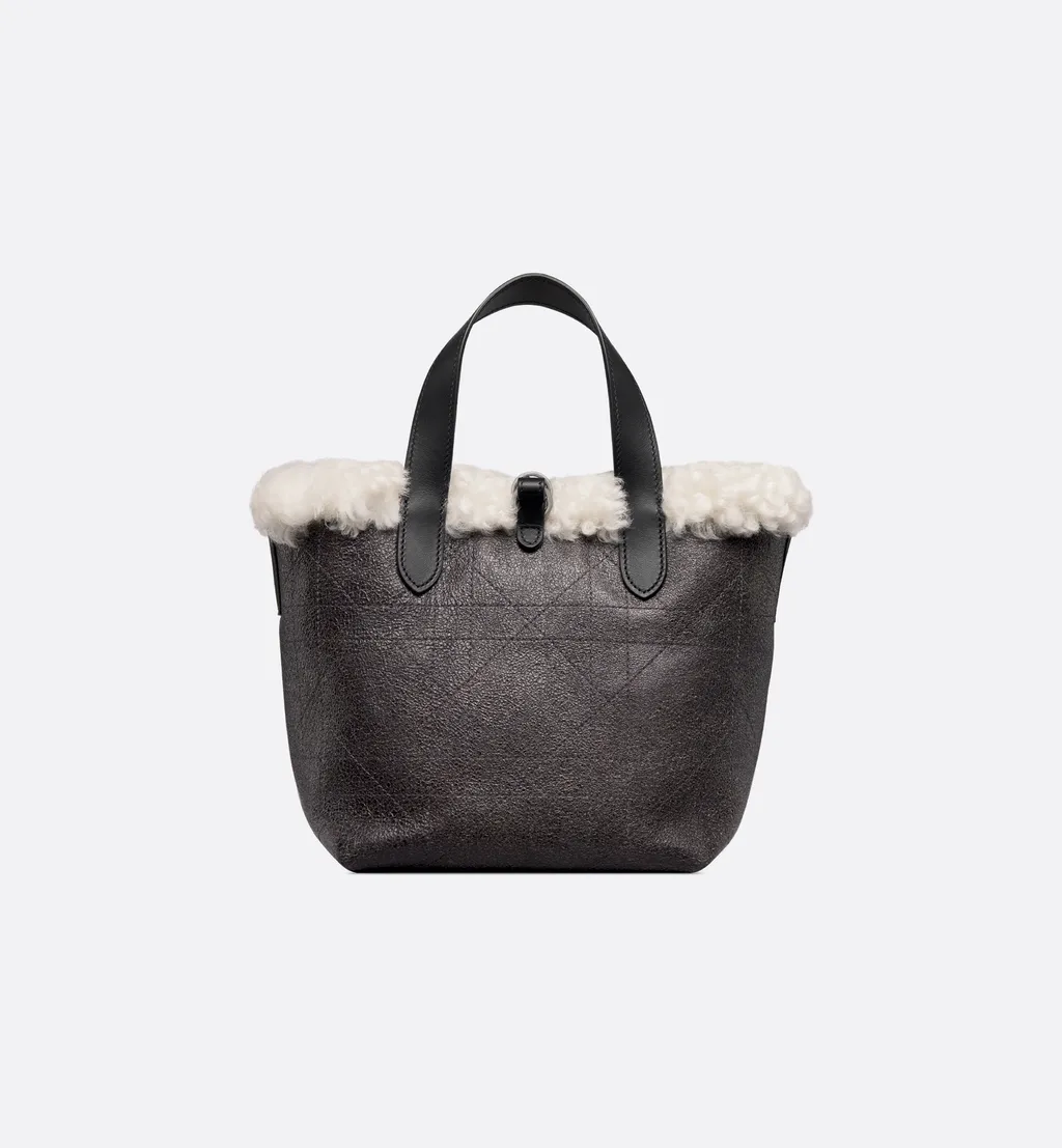Alps Small Dior Toujours Vertical Bag