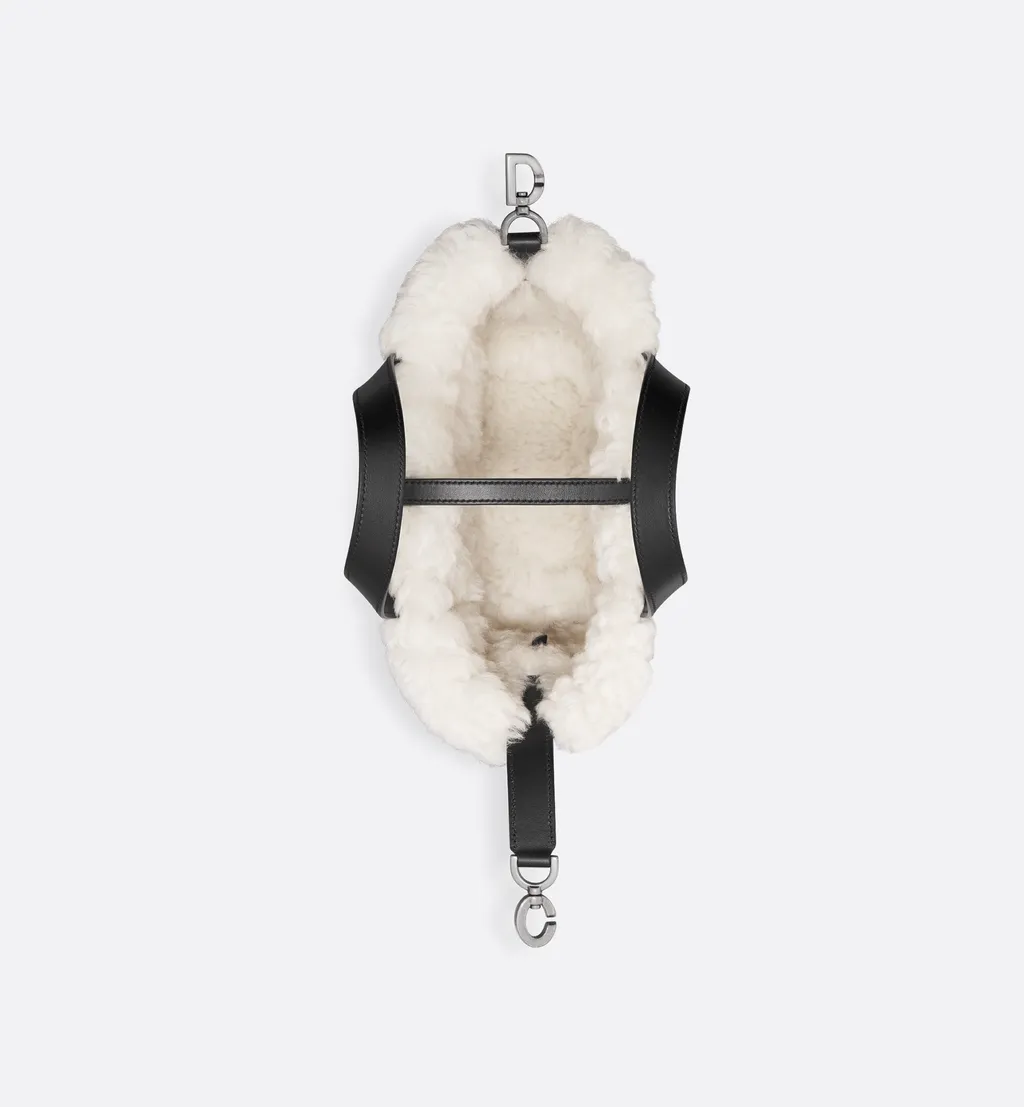 Alps Small Dior Toujours Vertical Bag