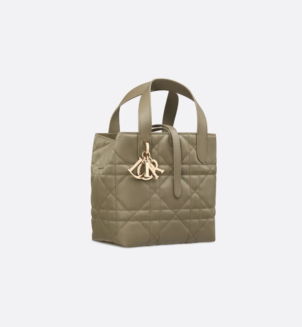 Dior Toujours Vertical Tote Small