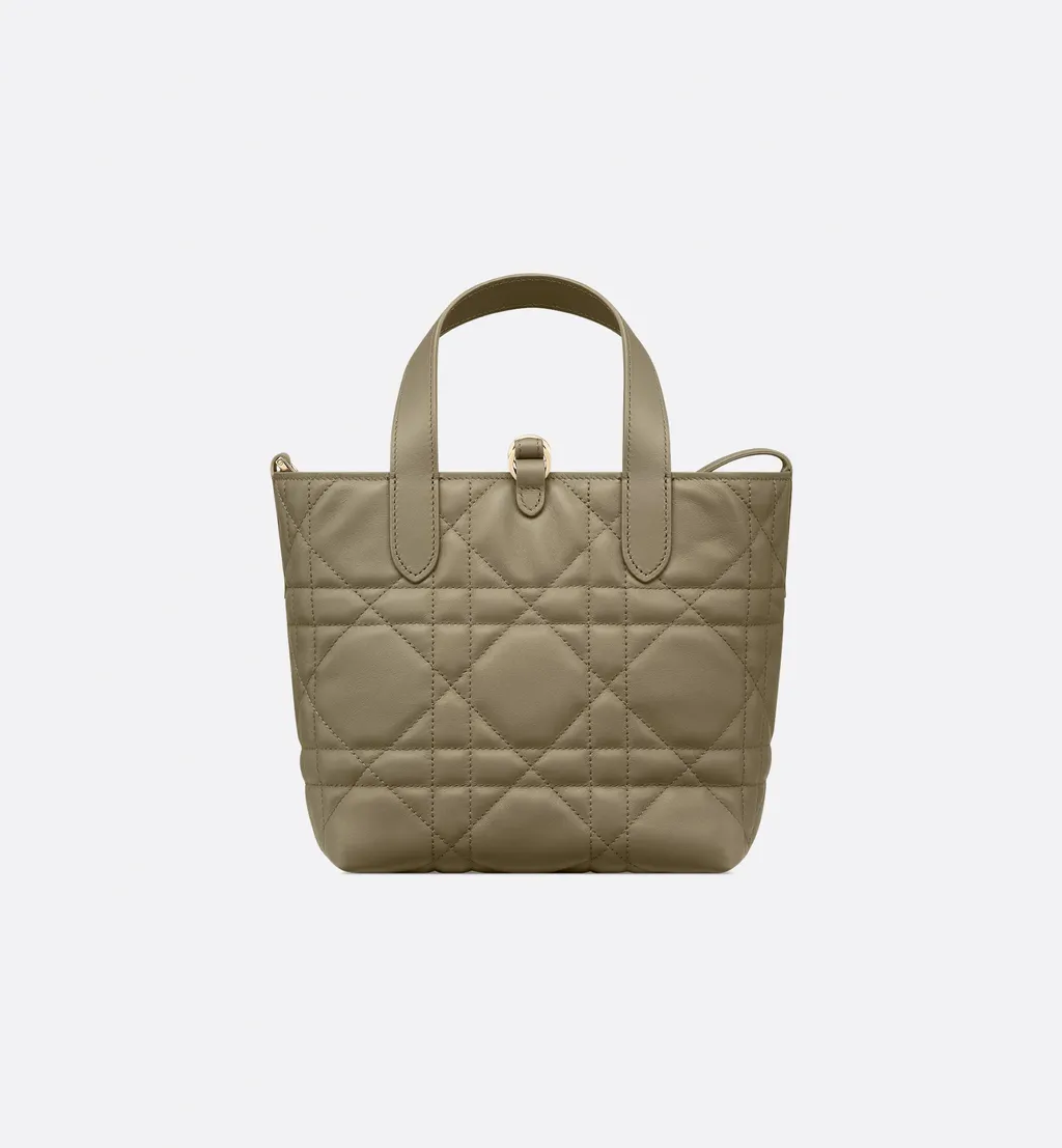 Dior Toujours Vertical Tote Small