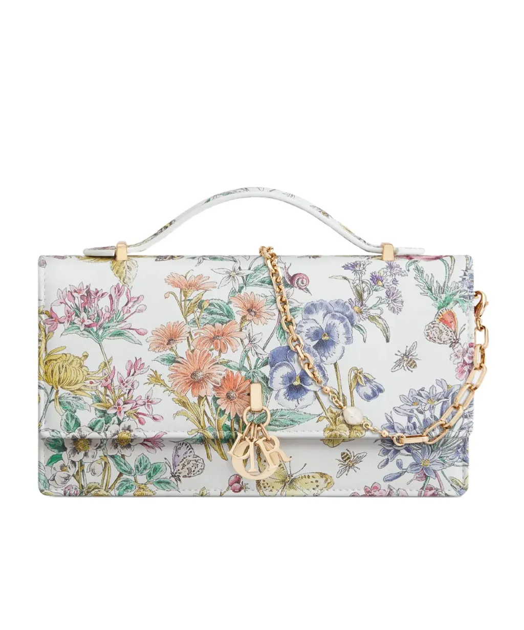 Lucky Dior Mini Bag