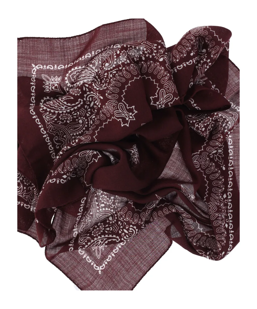Paisley Print Scarf