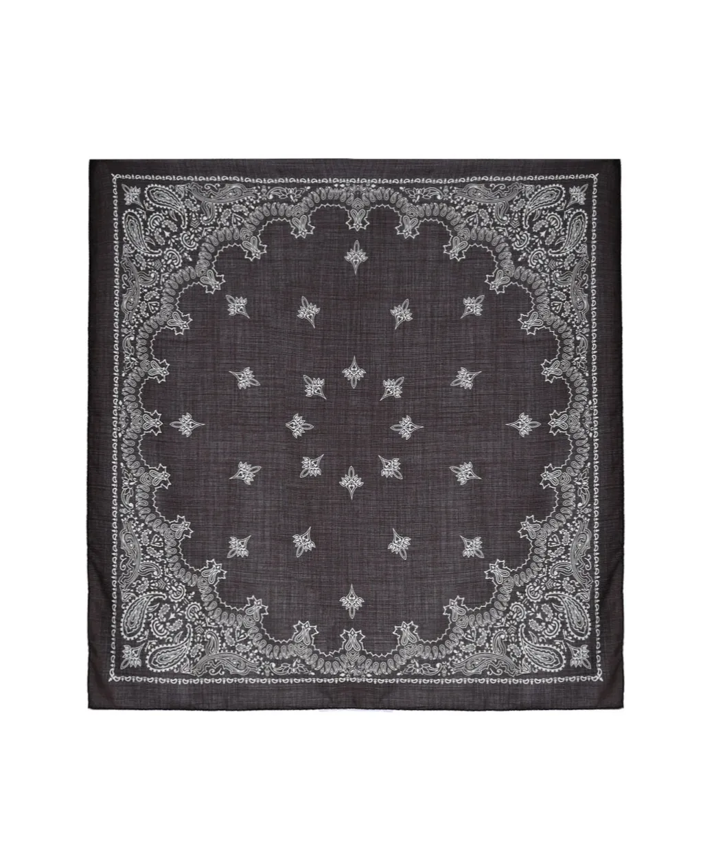 Paisley Print Scarf