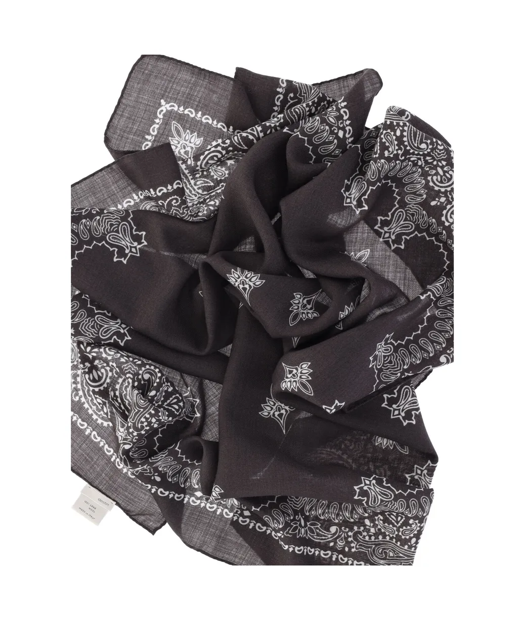 Paisley Print Scarf