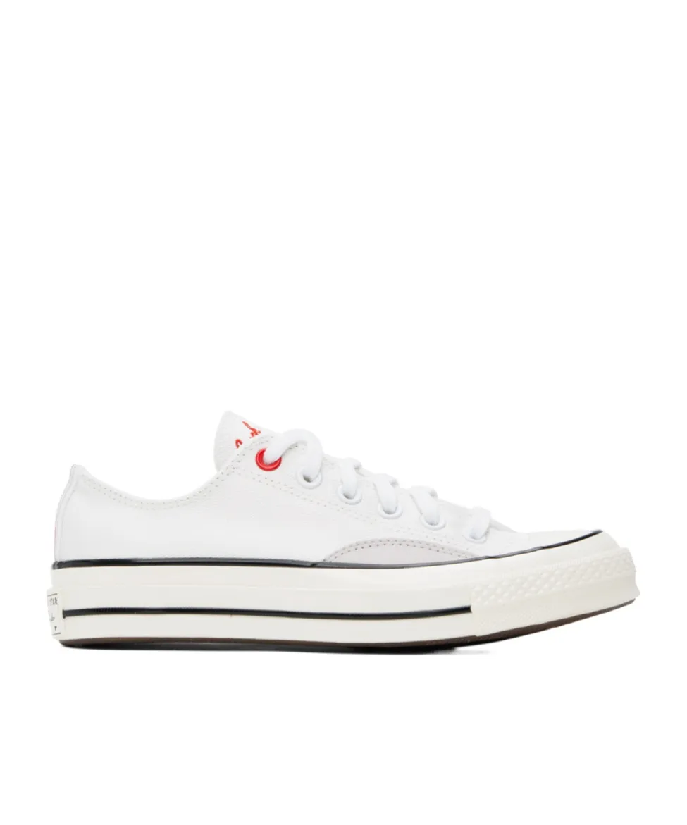 Logo Embroidery Low-Cut Skate Shoes