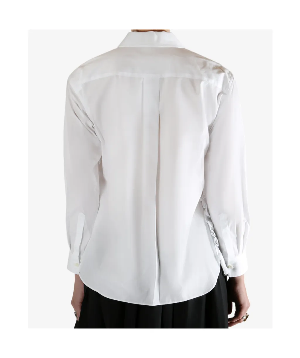 Ruffled Sleeve Blouse