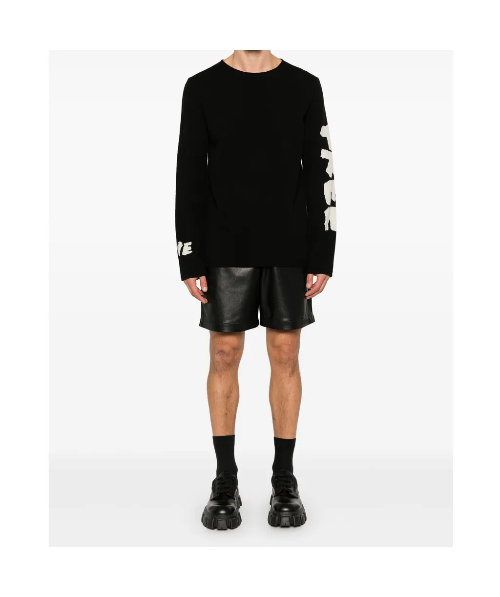 Free Love Intarsia Crewneck Jumper