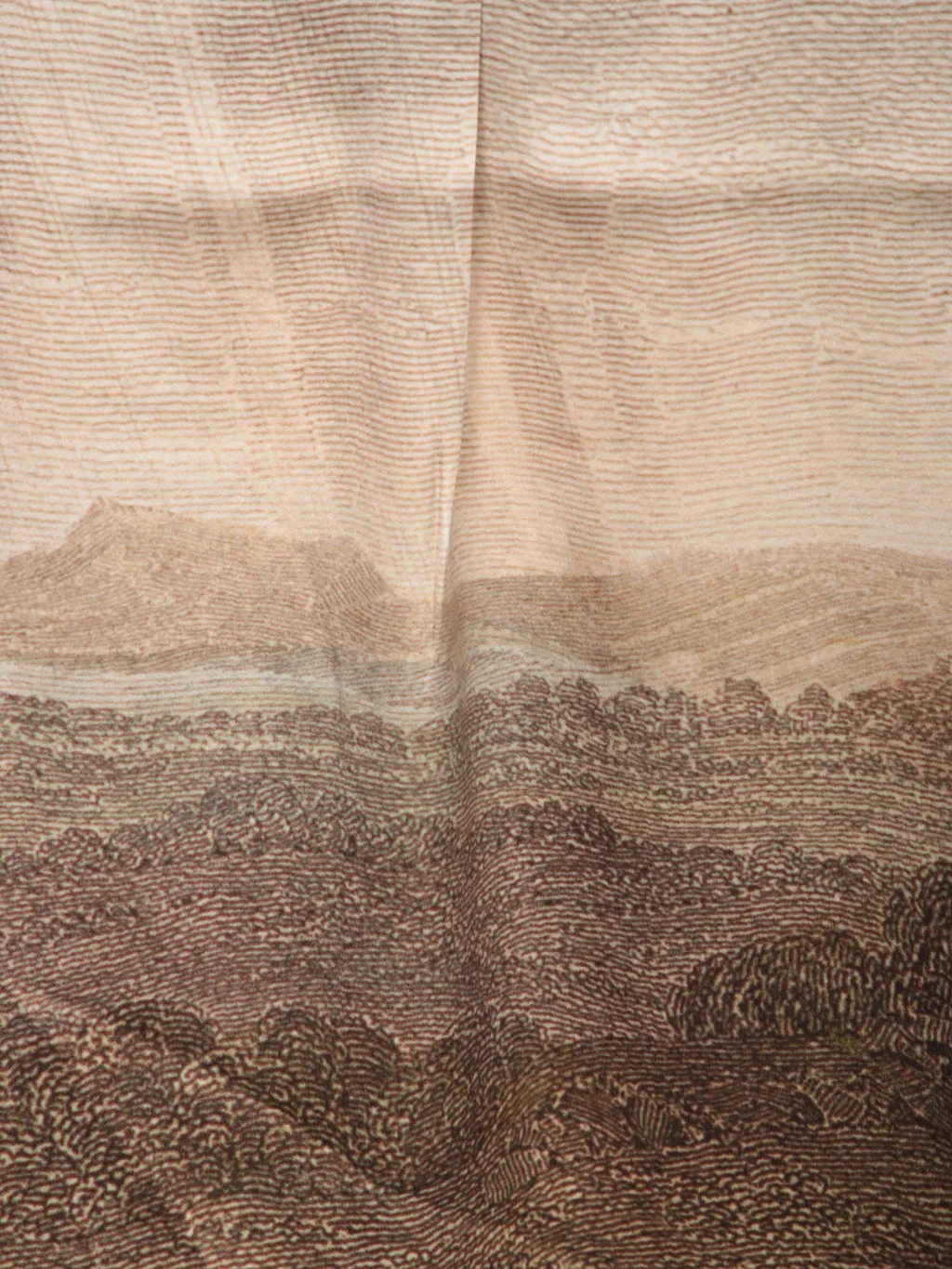 Landscape Print Silk Top