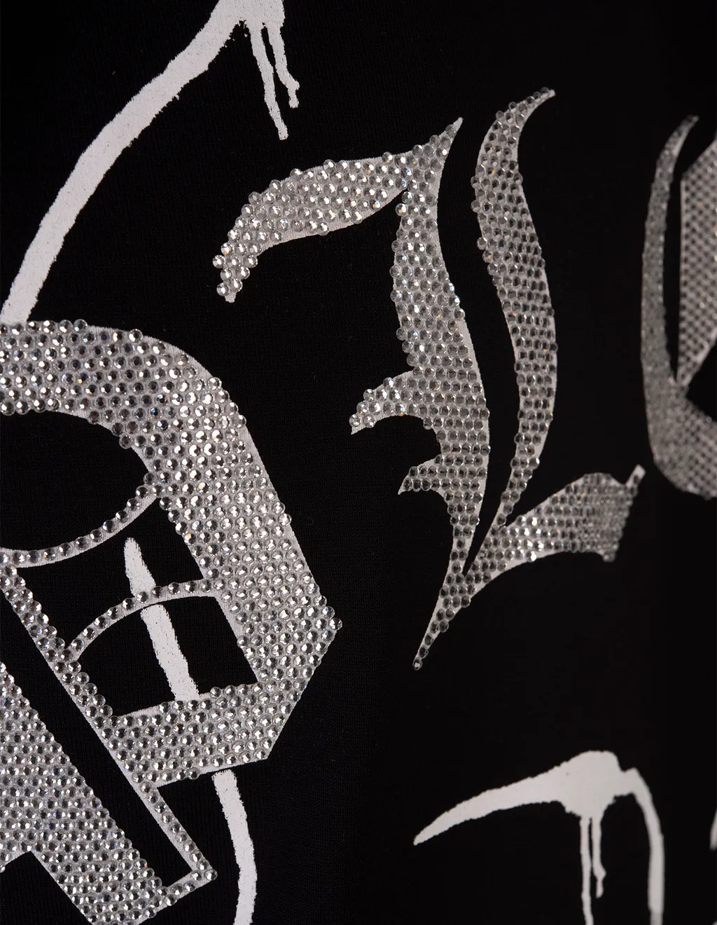 Skull Printed Round Neck Ss T-Shirt
