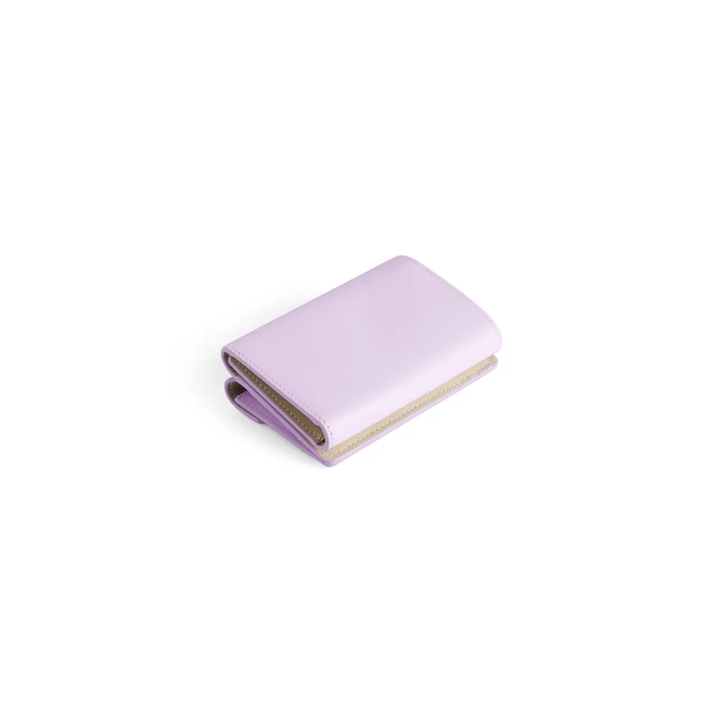 Envelope Mini Wallet