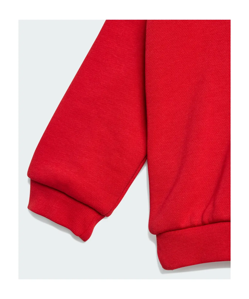 Long Sleeve Sweatshirt And Sweatpants Set