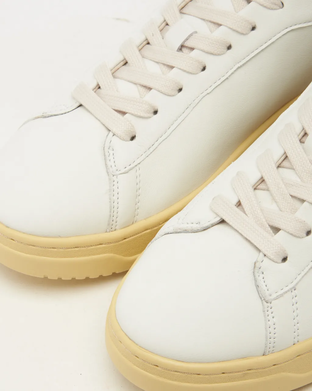 Low Top Sneakers