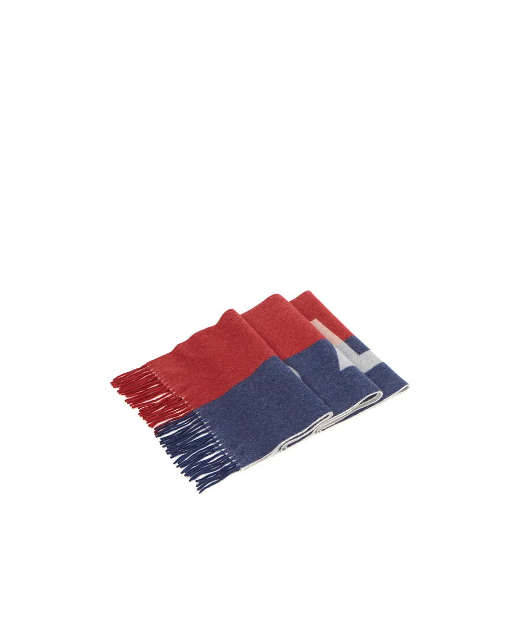 Logo Towel