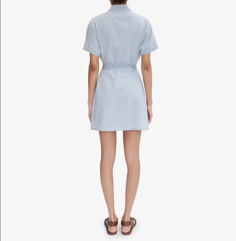 Suzanne Mini Dress