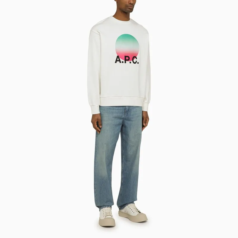 Graphic Printed Crewneck Sweatshirt