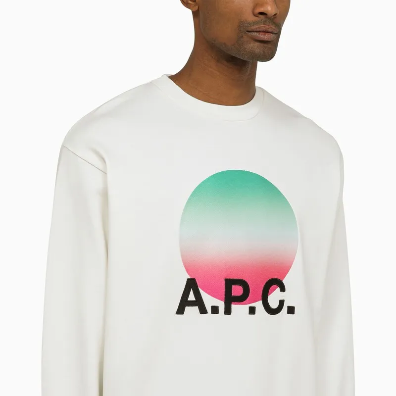 Graphic Printed Crewneck Sweatshirt