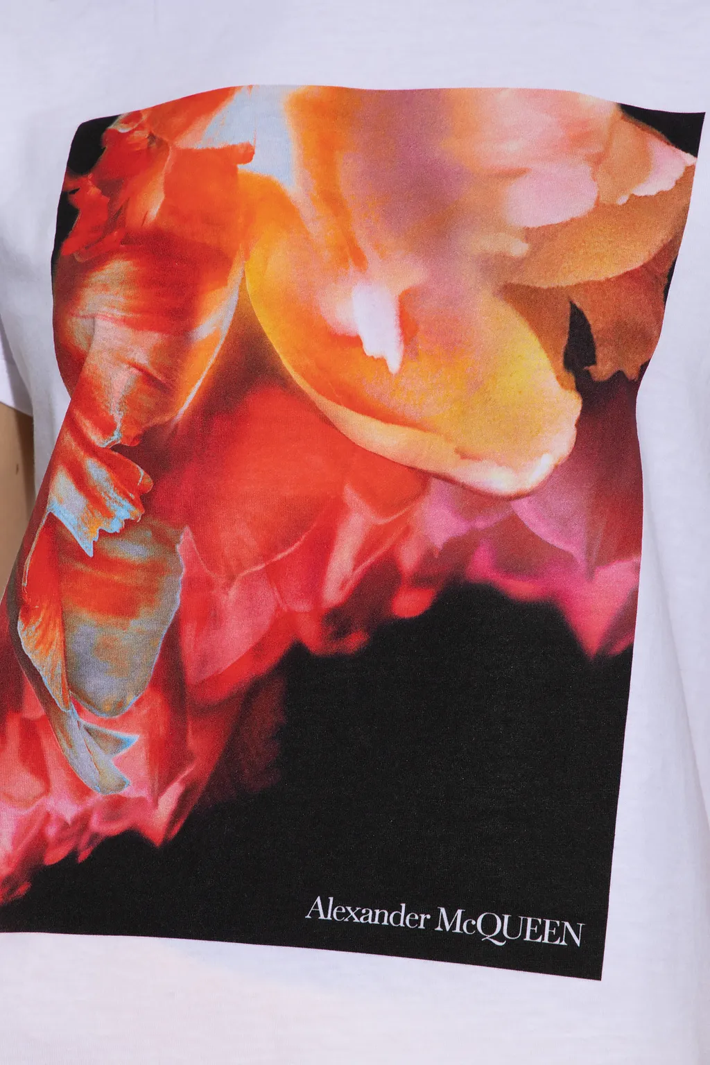 Graphic Printed Crewneck T-Shirt