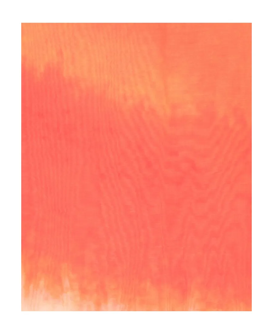 Gradient Detailed Scarf