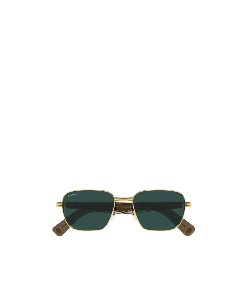 Full Frame Sunglasses