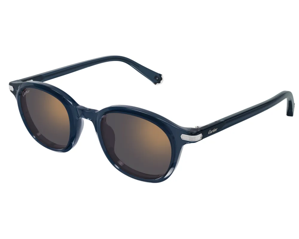 Oval Frame Sunglasses