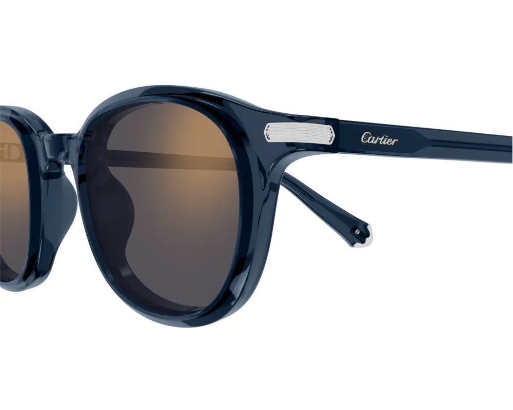 Oval Frame Sunglasses