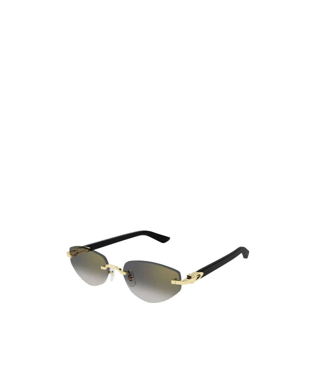Oval Frame Sunglasses