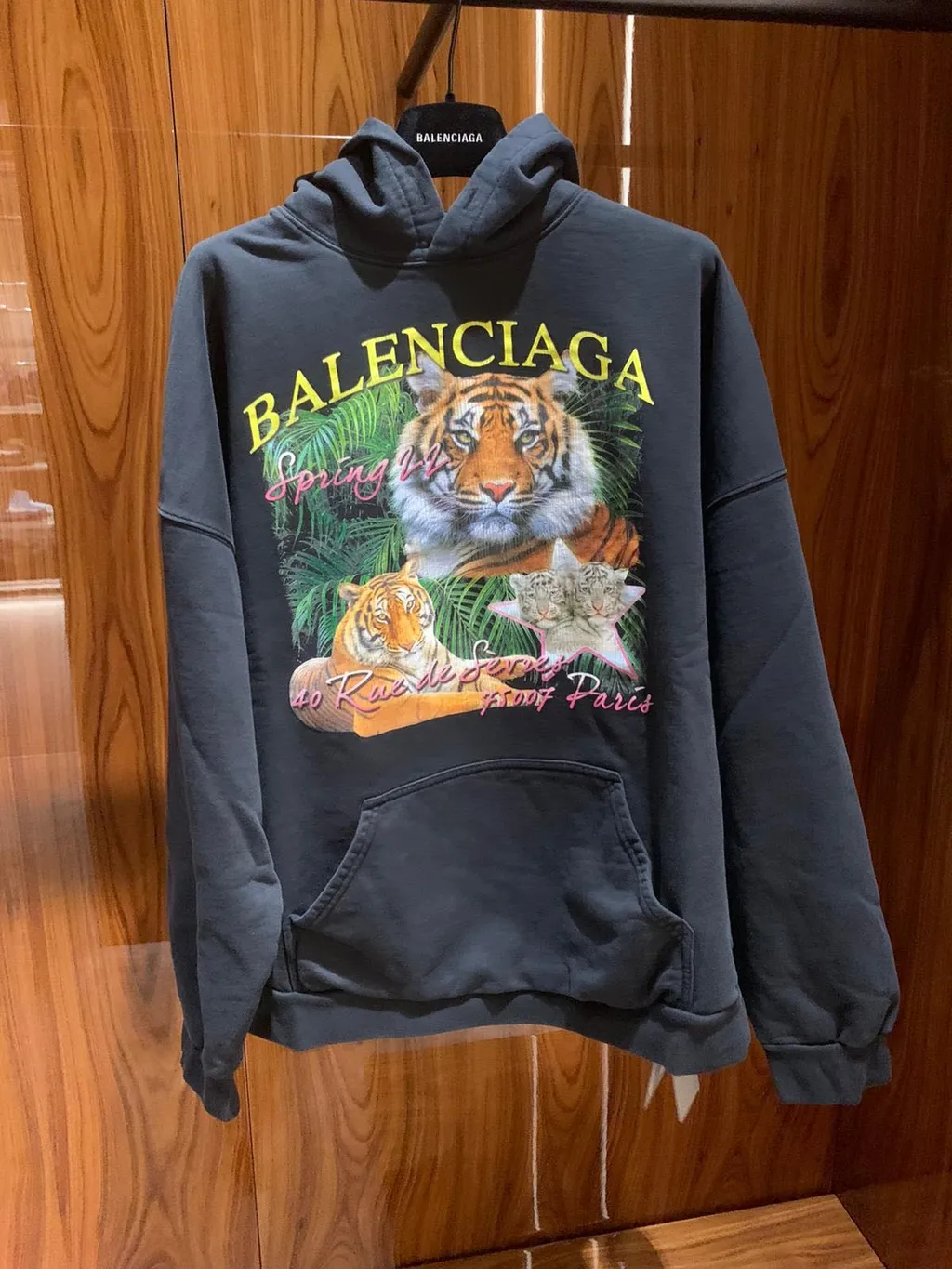 Tiger Graphic Printed Hoodie